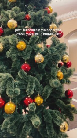 🎄Предновогодняя встреча