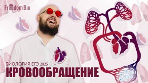 КРОВООБРАЩЕНИЕ для ЕГЭ ПО БИОЛОГИИ |Анатомия| ЕГЭ БИОЛОГИЯ 2025|Freedom|