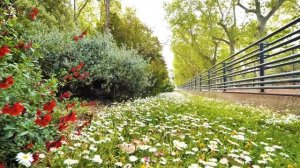 Команда "Лотос"