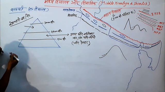 Middle Himalaya and Shivalik (Division of Himalaya) Gepgraphy of India #upsc #indiangeography