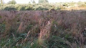 Все не то, все не так! Ты мой друг, я твой враг, как же так....