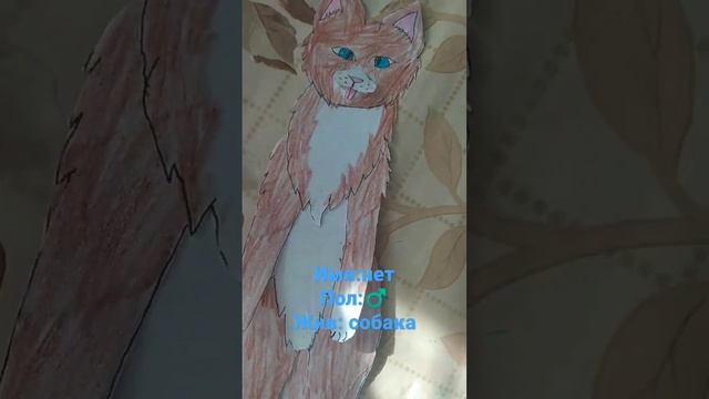 бумажная собака#имяпишитевкм# смотреть онлайн