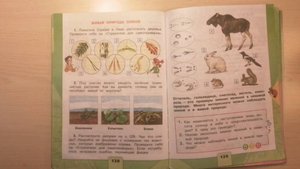 как НАД ДЕТЬМИ ИЗДЕВАЕТСЯ учебник по ОКРУЖАЮЩЕМУ МИРУ