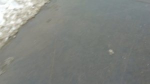Подготовка к монтажу щита-гиганта Лилия на площадке Нагатинский Затон 23.01.2021
