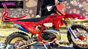 KOSHINE ПОЧЕМУ БОЯТСЯ КОШЕК