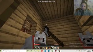 Ферма собак в майнкрафте.