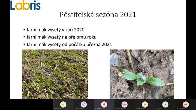 téma: Mák moření, výluh, společné setí s pomocnou plodinou. смотреть онлайн