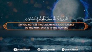 Surah Luqman لقمان - القارئ بلال دربالي _ Bilal Darbali (4K)(1080P_HD)