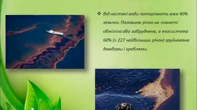 екологія основа життя сучасної людини