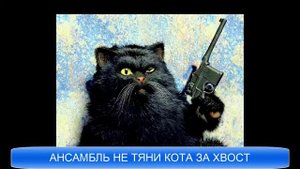 Ансамбль не тяни кота за хвост исполняет песню мурка