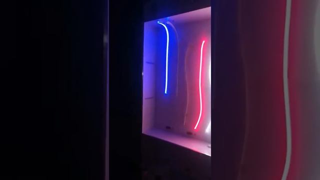 CCT Dimmable IP67 Flex neon color RGB with remove control