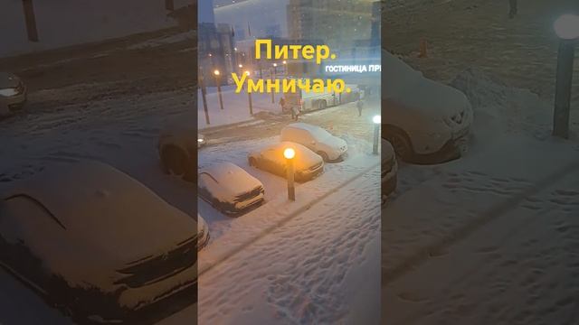 15 декабря 2024 г.