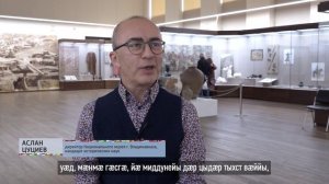 Аланы Краснодара