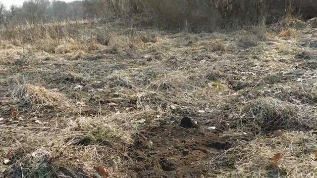 На лодке за находками! смотреть онлайн