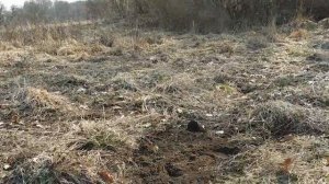 На лодке за находками!