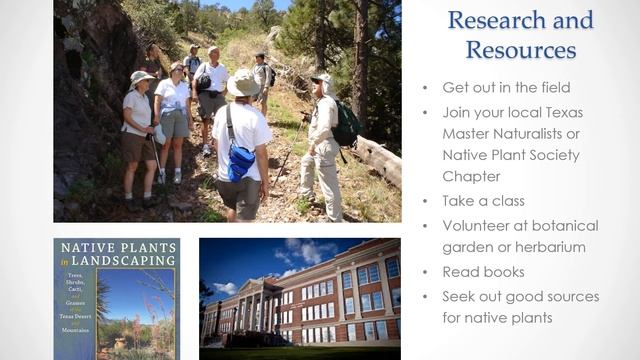 Gardening for Hummingbirds and Other Creatures - Linda Hedges смотреть онлайн