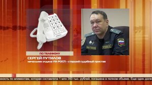 Погасить долги по алиментам 25.12.2024
