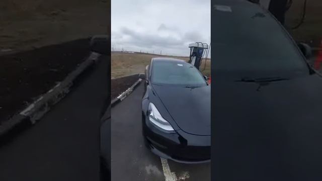 Горячий Отзыв из Великого Новгорода ! Николай Грахов Доставил Tesla Model 3 STD из США