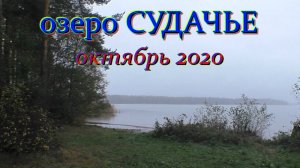 оз. Судачье. Октябрь 2020 г. Плотва на маховую удочку.