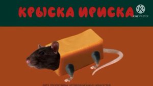 Крыска Ириска