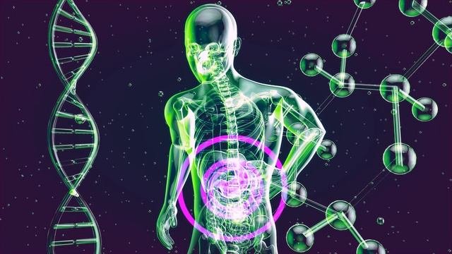 Функциональная диспепсия, Микробиота, Неизвестная этиология