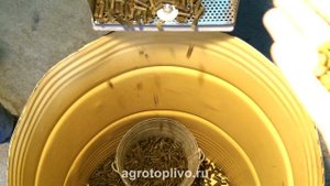 Приготовление и гранулирование травяной муки