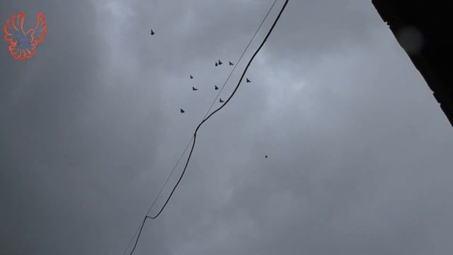 Неожиданно и приятно. Спасибо! смотреть онлайн