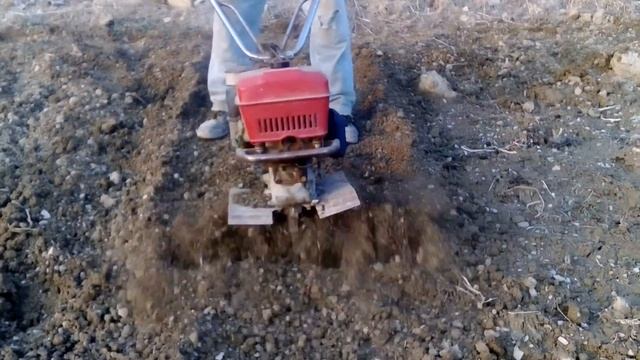 MOTOZAPPA BENASSI ALLA PROVA смотреть онлайн