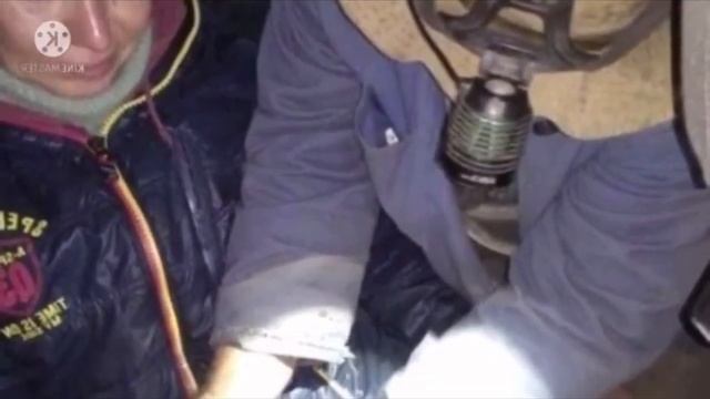 Крик о помощи! Люди слышали как воет собака А потом нашли Торпеду застрявшую в товарном вагоне!