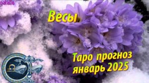 ВЕСЫ! Таро прогноз на январь 2025 года!