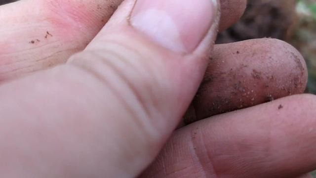 Попал под грозу на копе. Довоенные хутора. смотреть онлайн