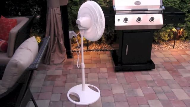 Keep Mosquitoes Away... Without Bug Repellent!