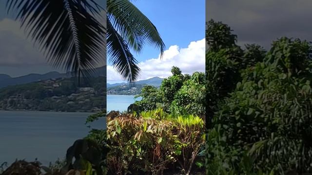 Как  отдыхается в старости