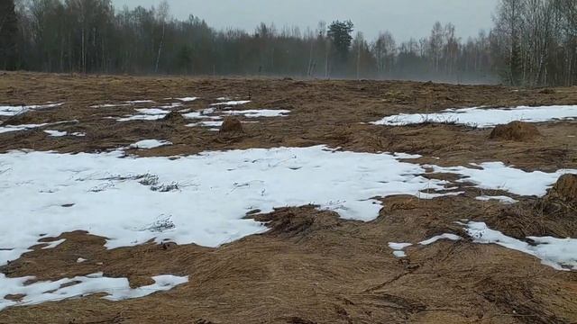 Копаем по проталинам, находки радуют! смотреть онлайн