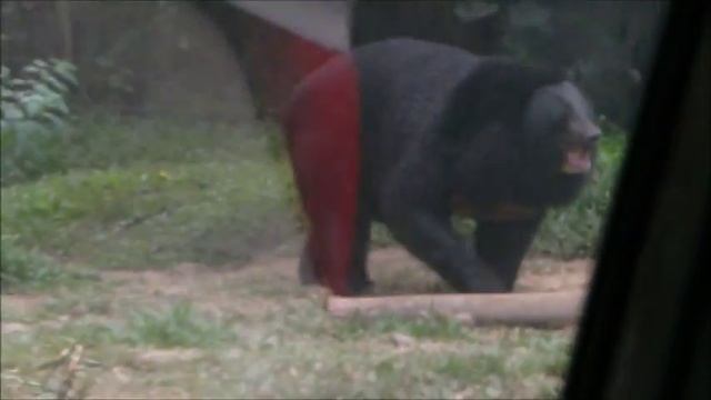 Travel to Indonesia Surabaya, Mount Bromo Part 1 смотреть онлайн