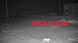 Лиса и заяц