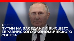 Путин на заседании Высшего Евразийского экономического совета