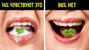 Факты о человеческом теле, которые доказывают, что вы созданы как чудо. Секреты нашей анатомии