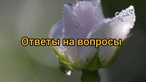 У ребенка пропал интерес к занятиям. Почему так и как поправить?