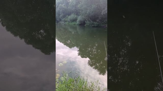 еще одно красивое место #путешествия #рыбалка смотреть онлайн