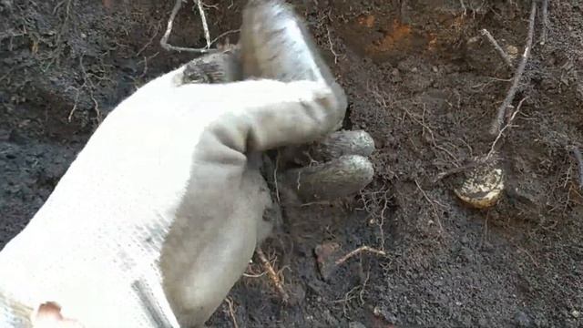 Шурф фундамента в заброшенной деревне. Чего здесь только нет! смотреть онлайн