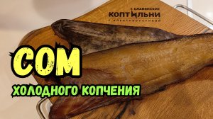 СОМ Холодного Копчения за 15 минут в Электростатической Коптильне! Славянские Коптильни!