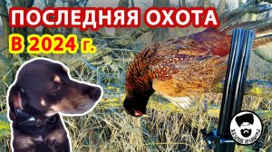 ПОСЛЕДНЯЯ ОХОТА В 2024 ГОДУ.