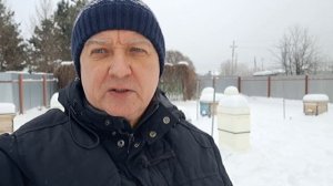 Состояние зимовки пчёл. Ответы на комментарии. Мои принципы экопчеловодства