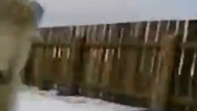 Боевой барашек Боря атакует! смотреть онлайн
