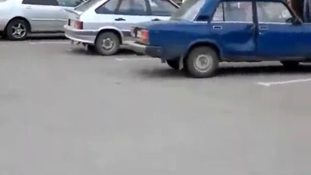 Кошки против Собак Прикольная подборка видеороликов смотреть онлайн