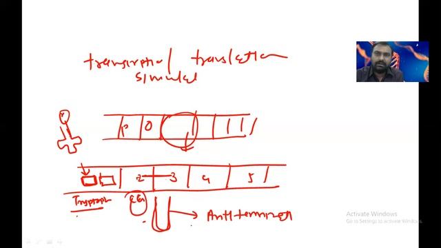 TRYPTOPHAN OPERON смотреть онлайн
