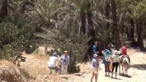 Чайная церемония по Мароккански.Оазис!!Марокко