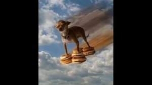 Сабака писала Сабака какала сабака села и заплакала 17 минут 🐶