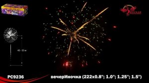 PC9236 ВечерИночка 222 залпа